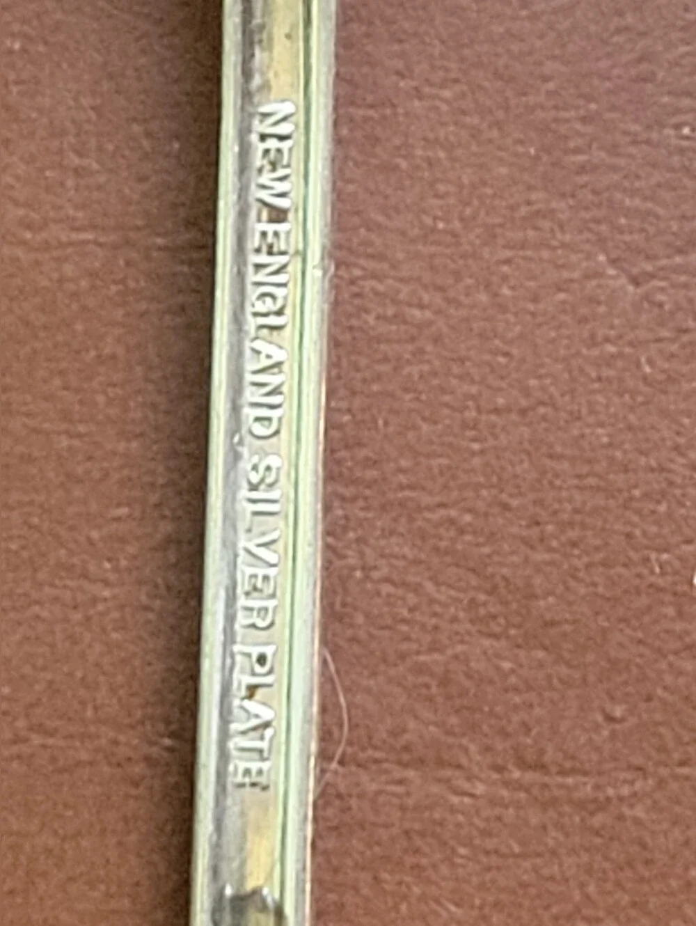 Wm Rogers elegant long